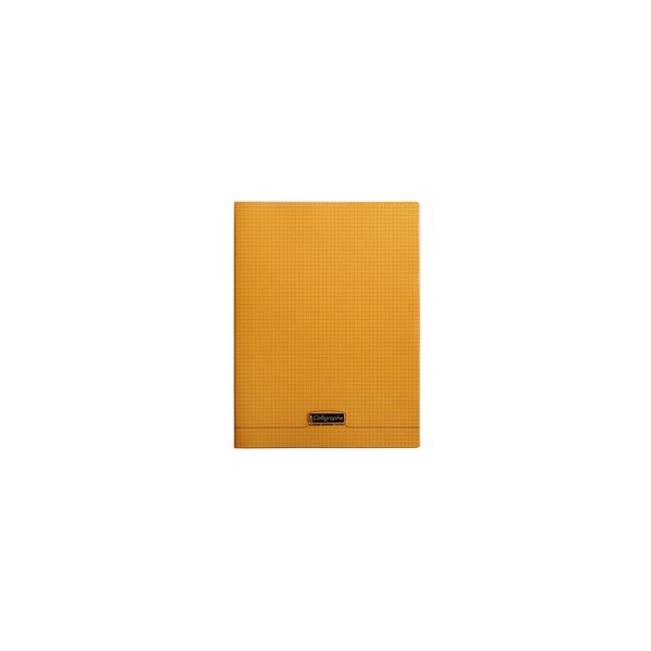 Cahier polypro 24X32 96p 5x5 90g