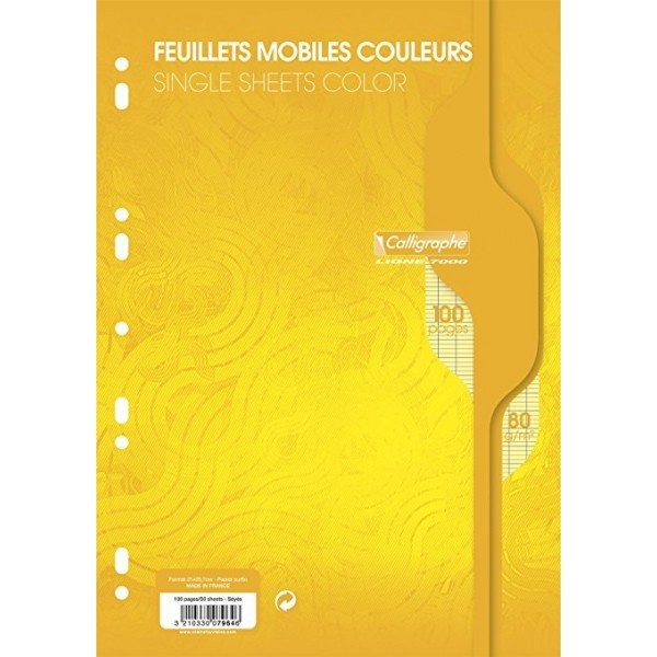 Feuillets mobiles 21x29,7 100p séyès 80g de couleur